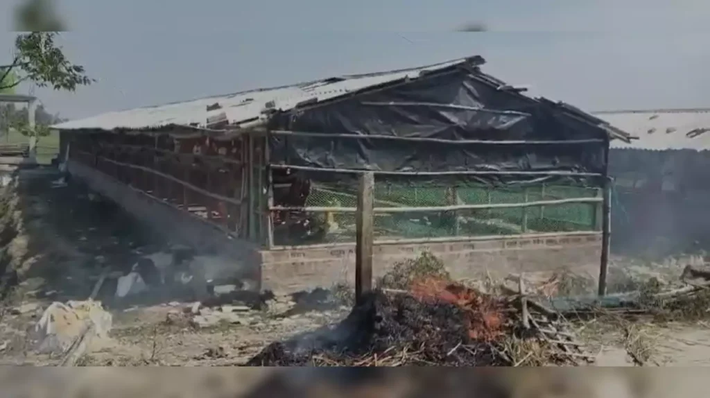 #again# #violence# #sandeshkhali# #fire# #poultry# #farm# #house