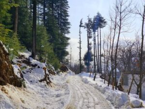 #Tourists# #are# #stuck# #in# #Kashmir